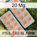 20 Mg 27
